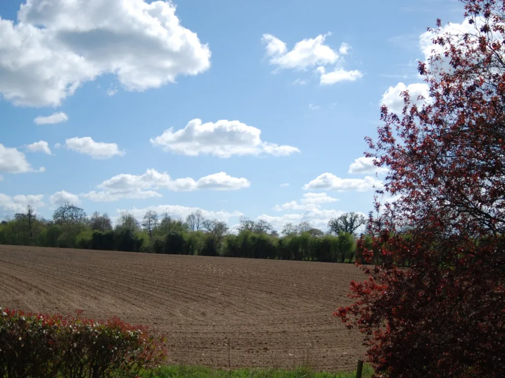 Chambre Charly - vue 2